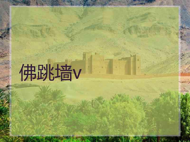 佛跳墙v