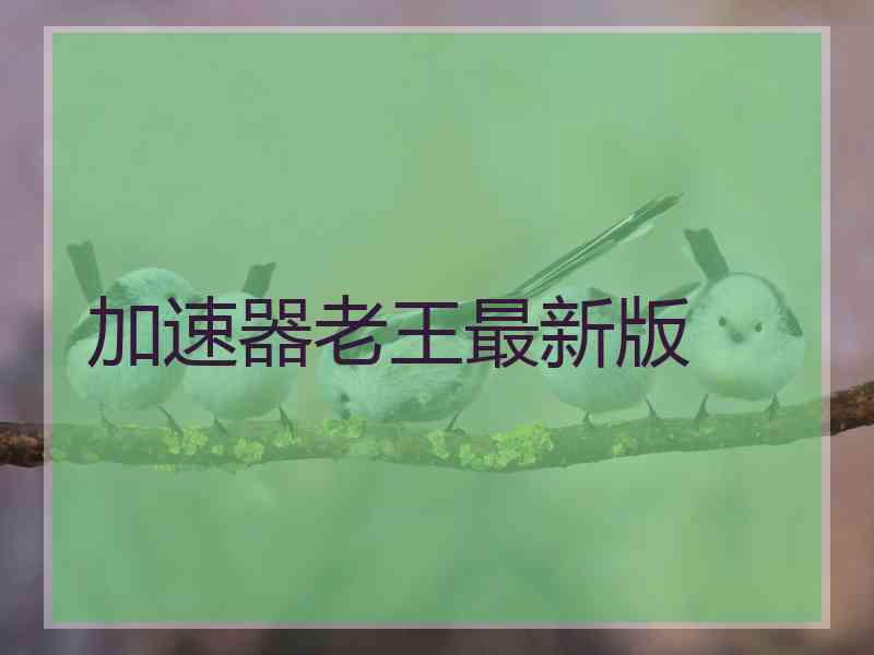 加速器老王最新版
