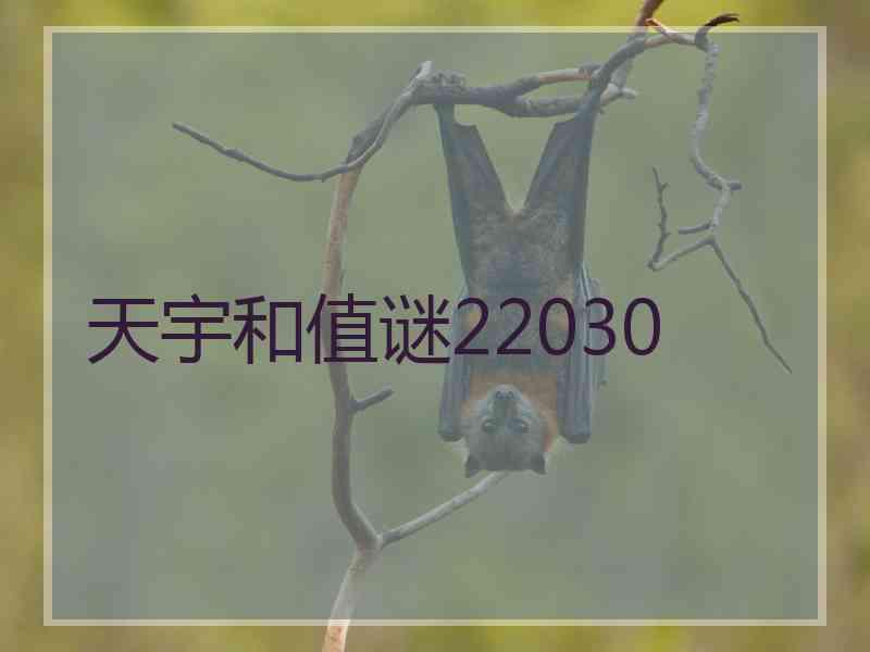 天宇和值谜22030
