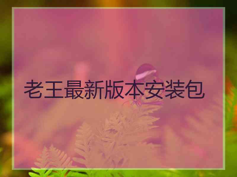 老王最新版本安装包