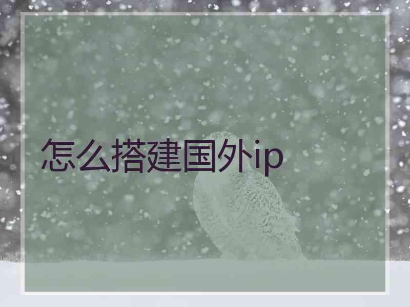 怎么搭建国外ip