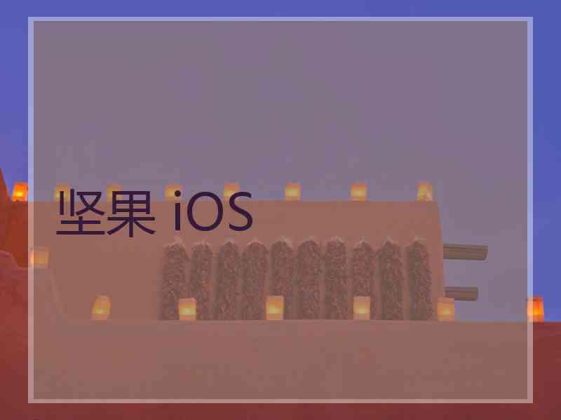 坚果 iOS