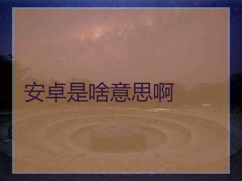 安卓是啥意思啊