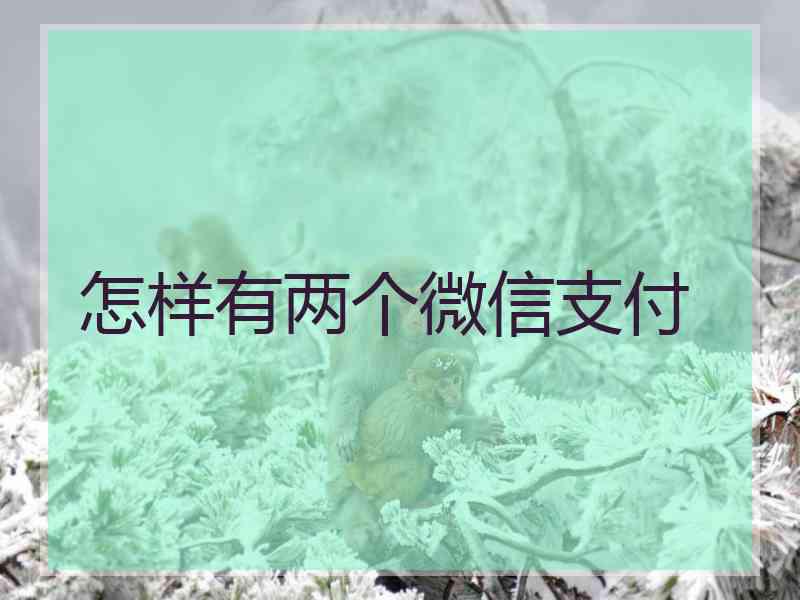 怎样有两个微信支付