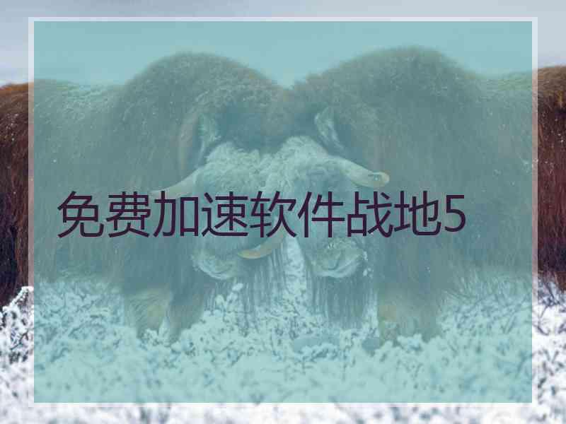 免费加速软件战地5