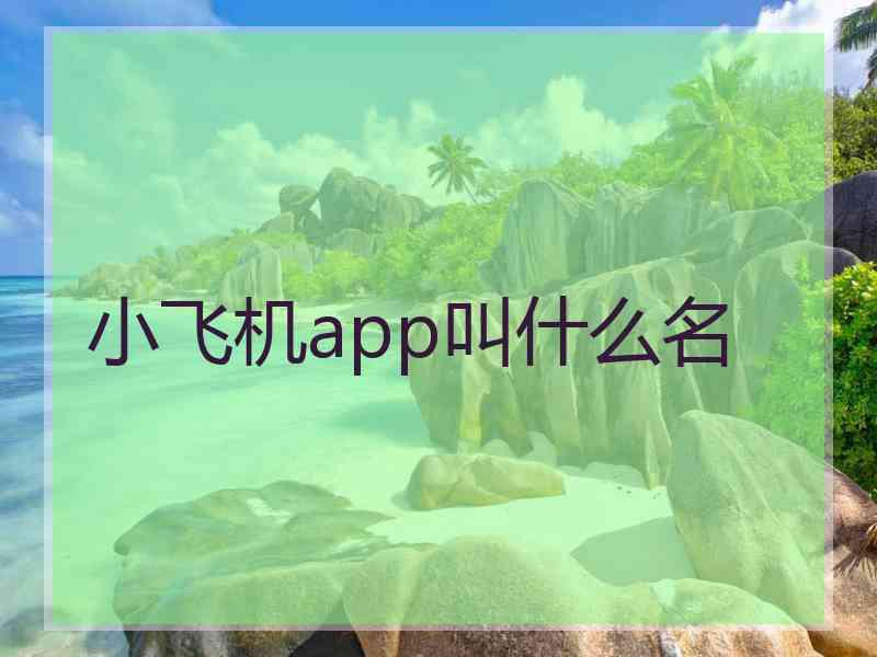 小飞机app叫什么名
