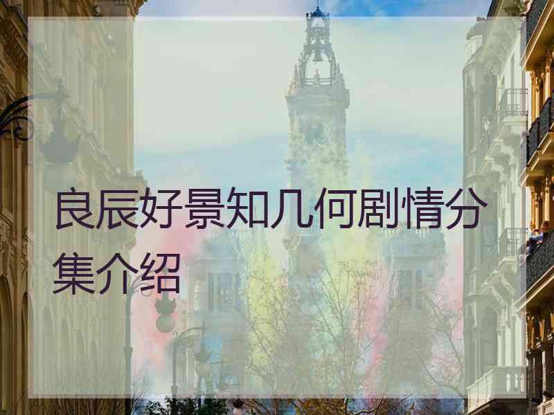 良辰好景知几何剧情分集介绍