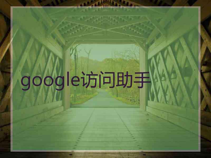 google访问助手