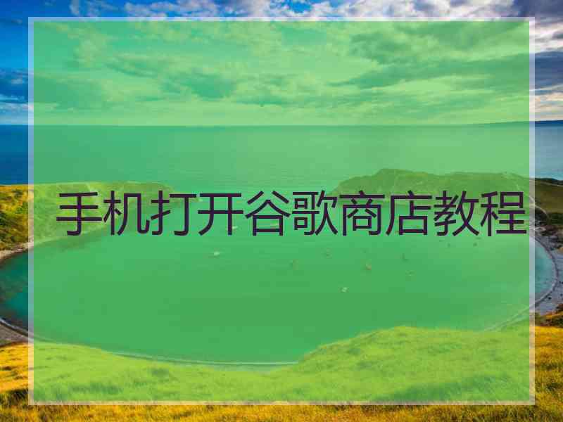手机打开谷歌商店教程