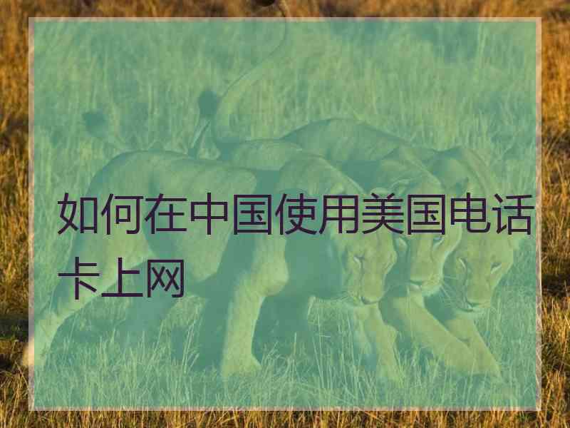 如何在中国使用美国电话卡上网