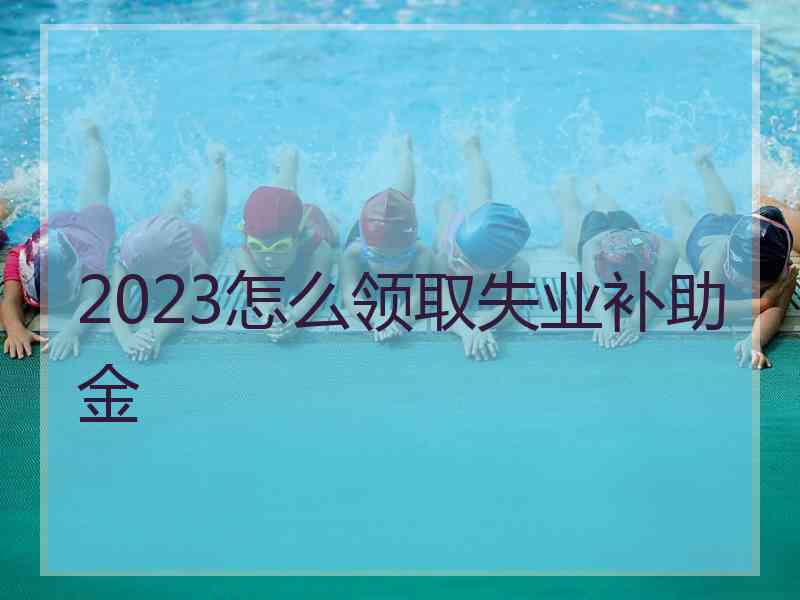 2023怎么领取失业补助金