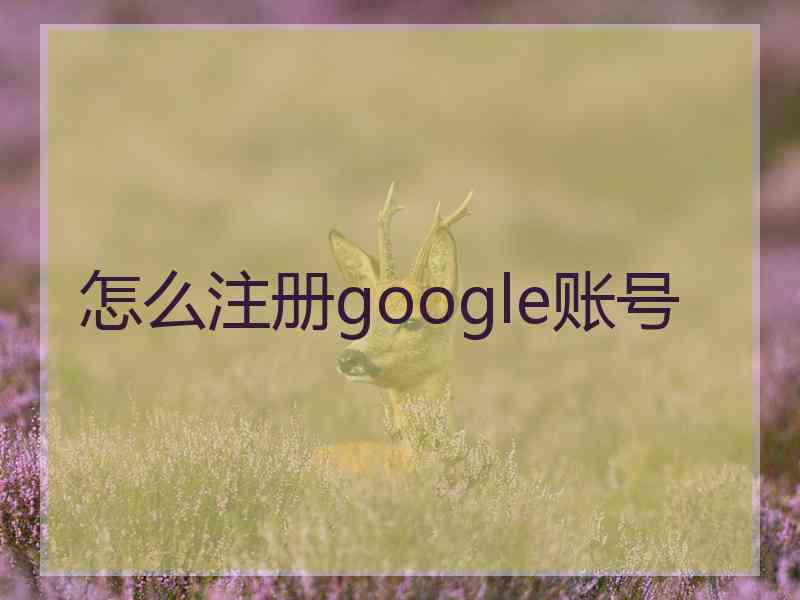 怎么注册google账号