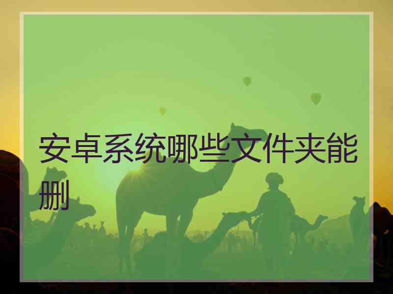 安卓系统哪些文件夹能删