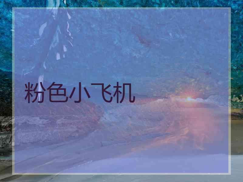 粉色小飞机