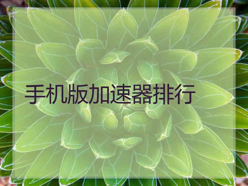 手机版加速器排行