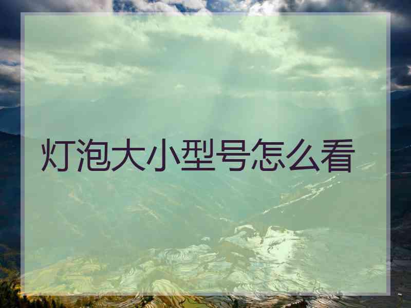 灯泡大小型号怎么看