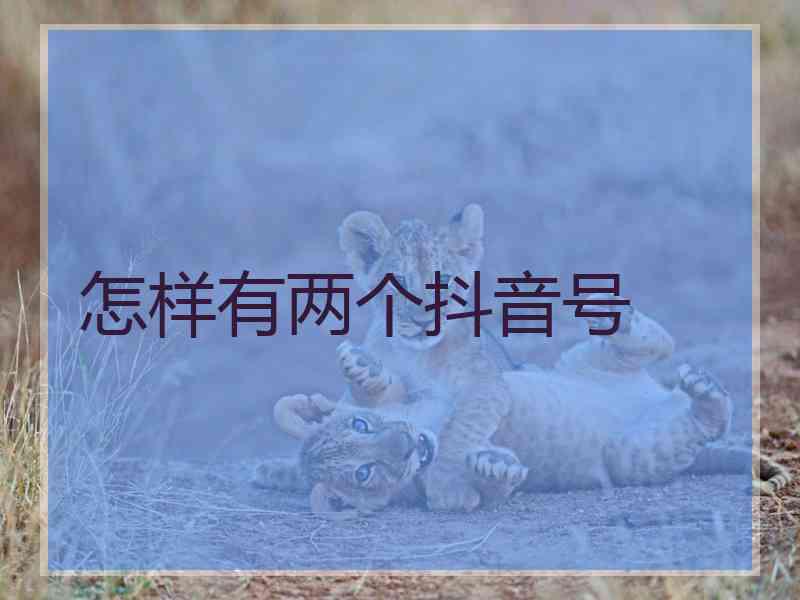 怎样有两个抖音号