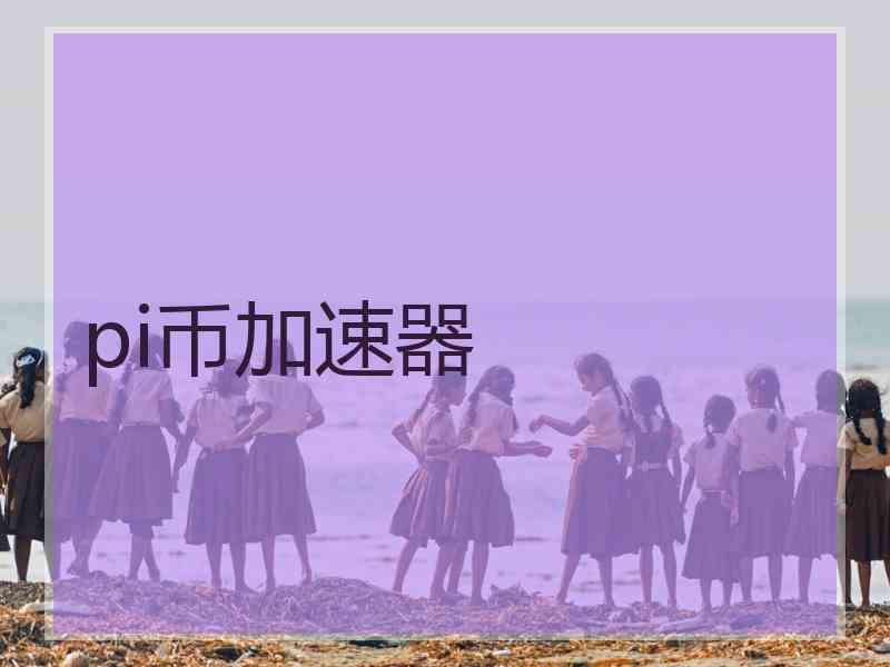 pi币加速器