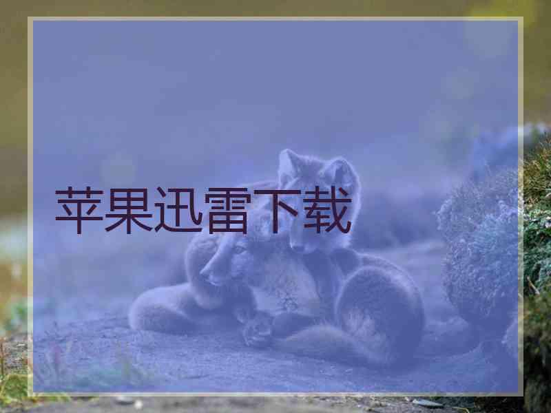 苹果迅雷下载