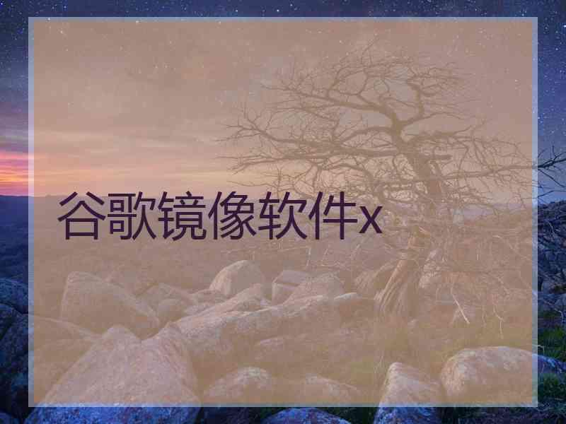 谷歌镜像软件x