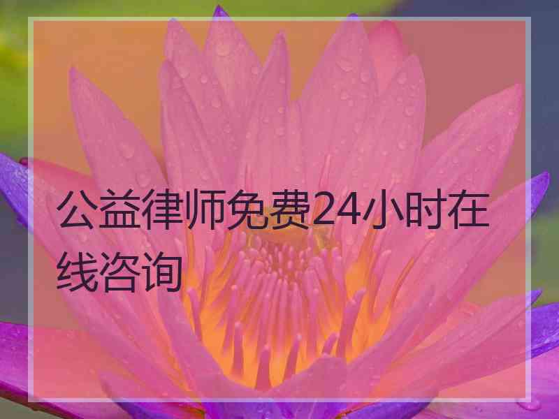 公益律师免费24小时在线咨询