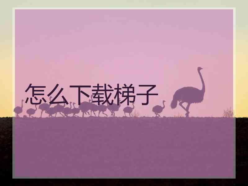 怎么下载梯子