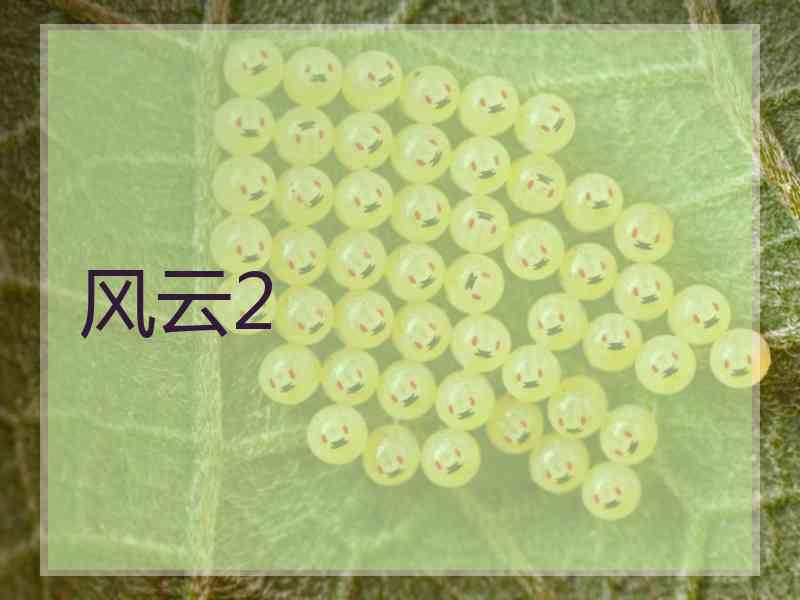 风云2