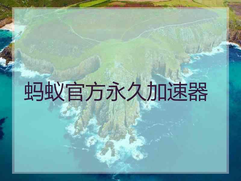 蚂蚁官方永久加速器
