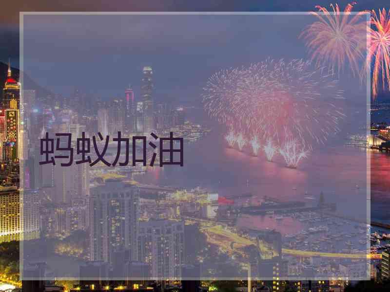 蚂蚁加油