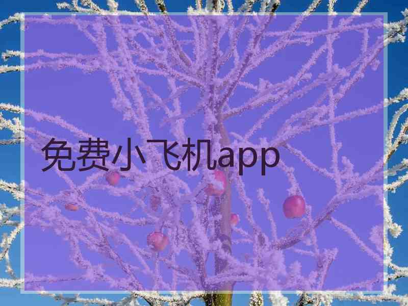 免费小飞机app