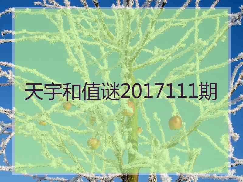 天宇和值谜2017111期