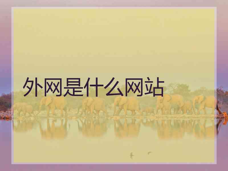 外网是什么网站