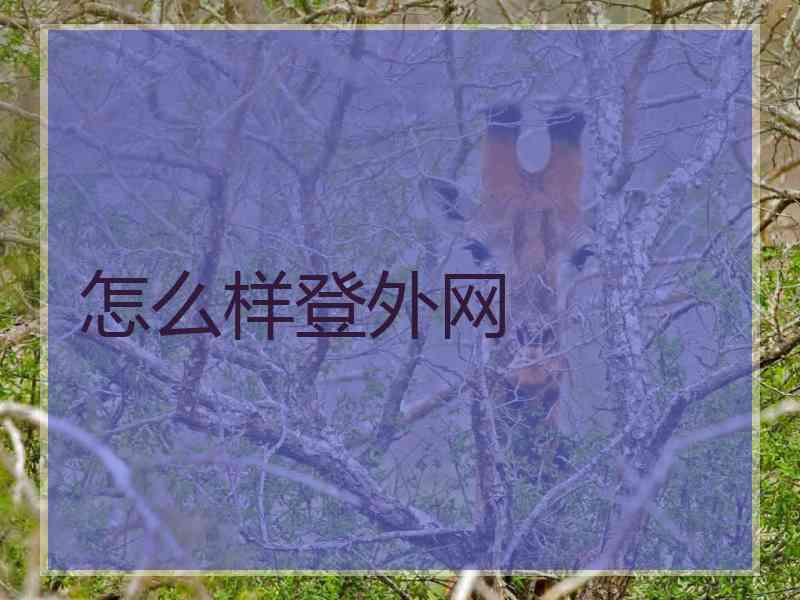 怎么样登外网