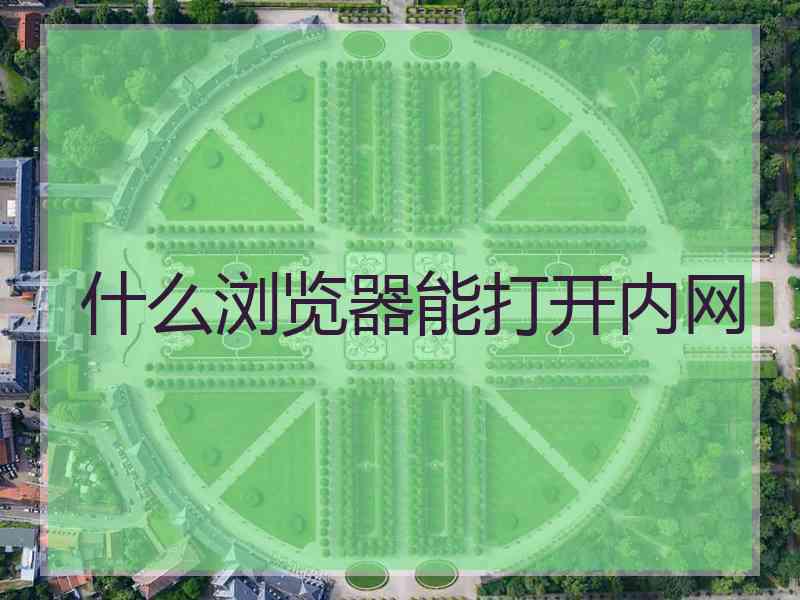 什么浏览器能打开内网